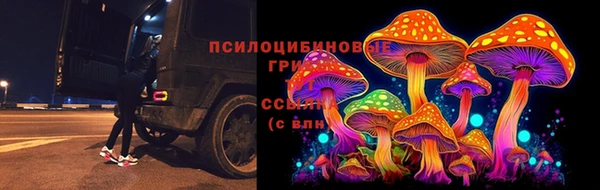 синтетический гашиш Алексин