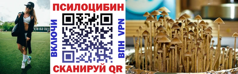 omg маркетплейс  Одинцово  Псилоцибиновые грибы Cubensis 